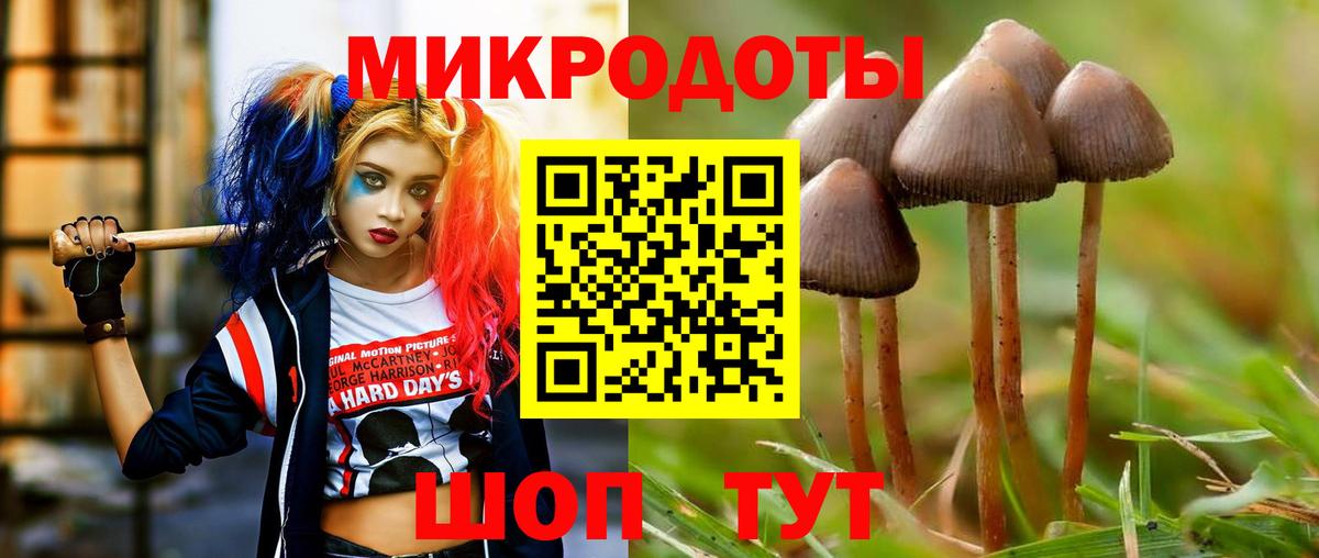 сколько стоит  Вход с VPN  Киржач  Псилоцибиновые грибы прущие грибы  Псилоцибиновые грибы прущие грибы 