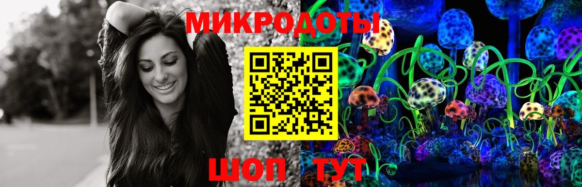 Галлюциногенные грибы Psilocybe Киржач